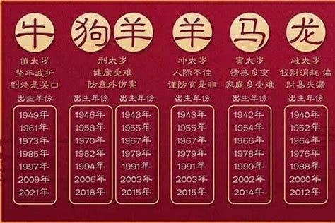 14年属什么|2014年是什么年 2014年出生的人属什么